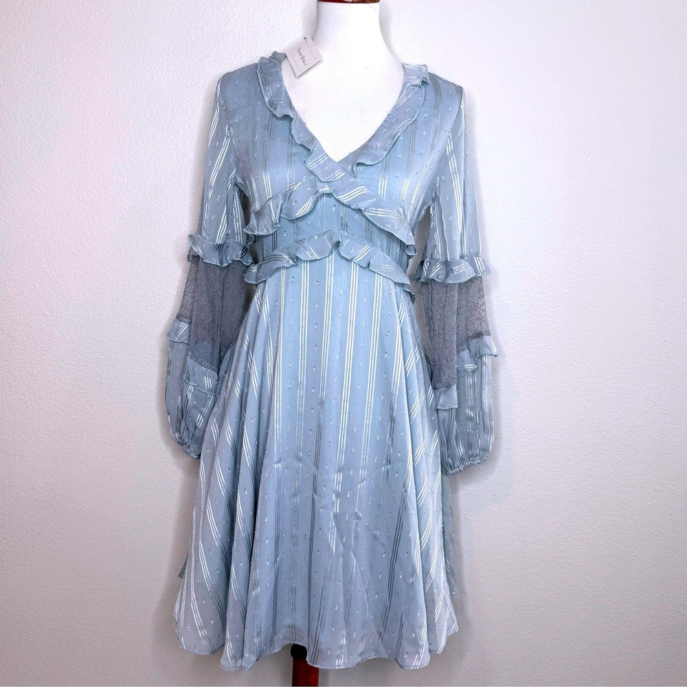 TRISH SCULLY NEW Fit & Flare Dress 4 Lt Blue Long Sleeves Garden Fairy Coquette